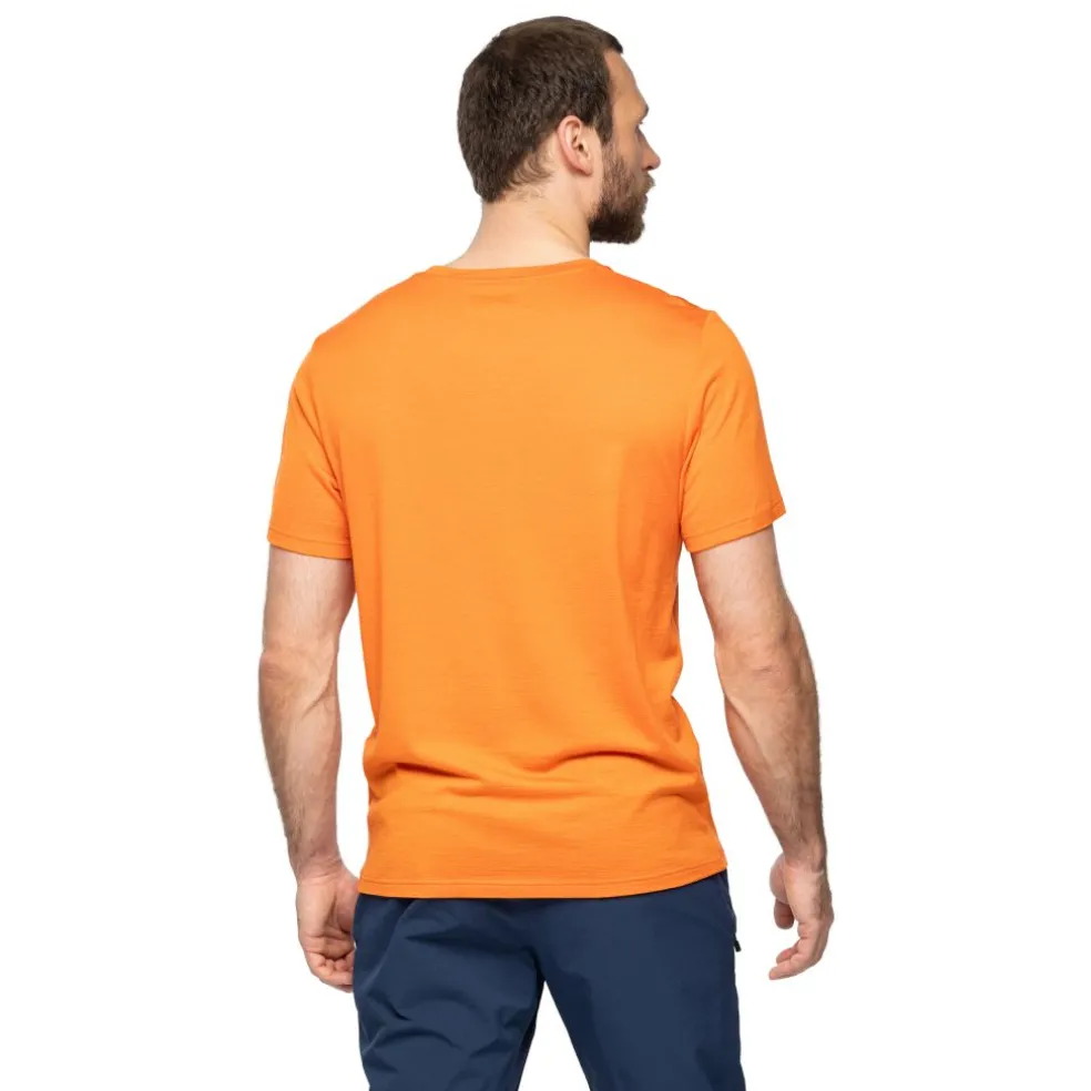 Rabot Mount Wool Tee Men